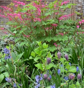 Tuinbeplanting Paars-blauwe lenteborder