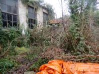 Voor: een overwoekerde tuin