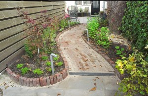 lange smalle tuin met kastanje : beplanting zetten