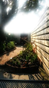 Reusltaat : prachtige lichtval in smalle lange tuin met kastanje