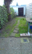 Smalle tuin met oude kastanjeboom