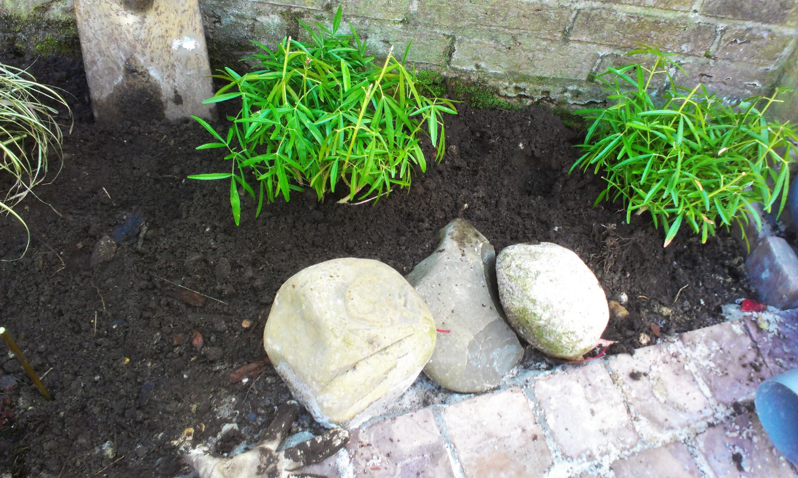 Rotsjes bij de geul naar de tuinwadi Rotsjes bij de geul naar de tuinwadi