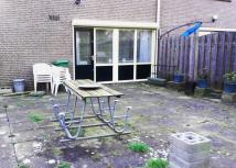 Oude, versteende tuin