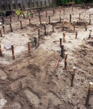 Afbakening wilgentenen borders