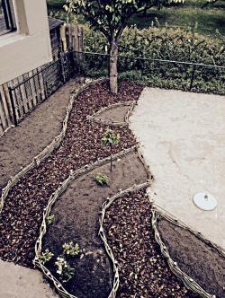 Wilgentenen borders en paden