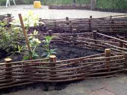 Diamanten regendruppels aan wilgentenen