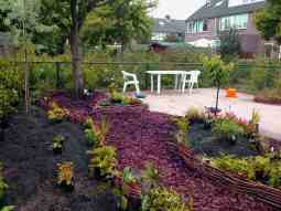 boomschorspaden gelegd