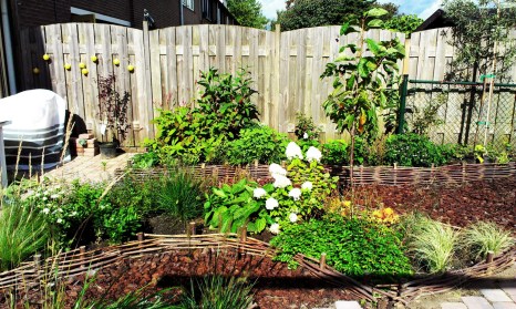 Weelderig groene oase aangelegd