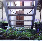 Patio Planten onder de trap