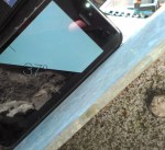 Patio Hoekmeting voor de leiboom