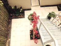 Patio Tussen bomen de trap op